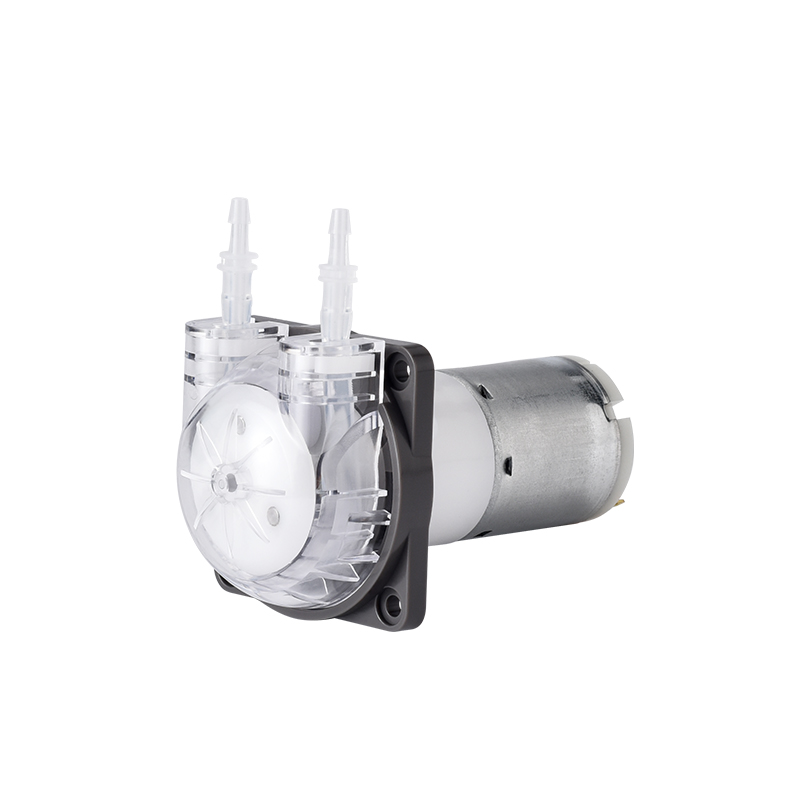 PENGPU Micro Peristaltic Pump  - Mini Peristaltic Pump 12V 评论和价格