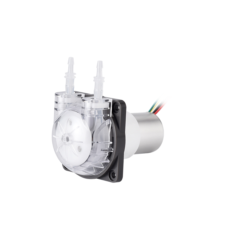 PENGPU Micro Peristaltic Pump  - Mini Peristaltic Pump 12V 评论和价格