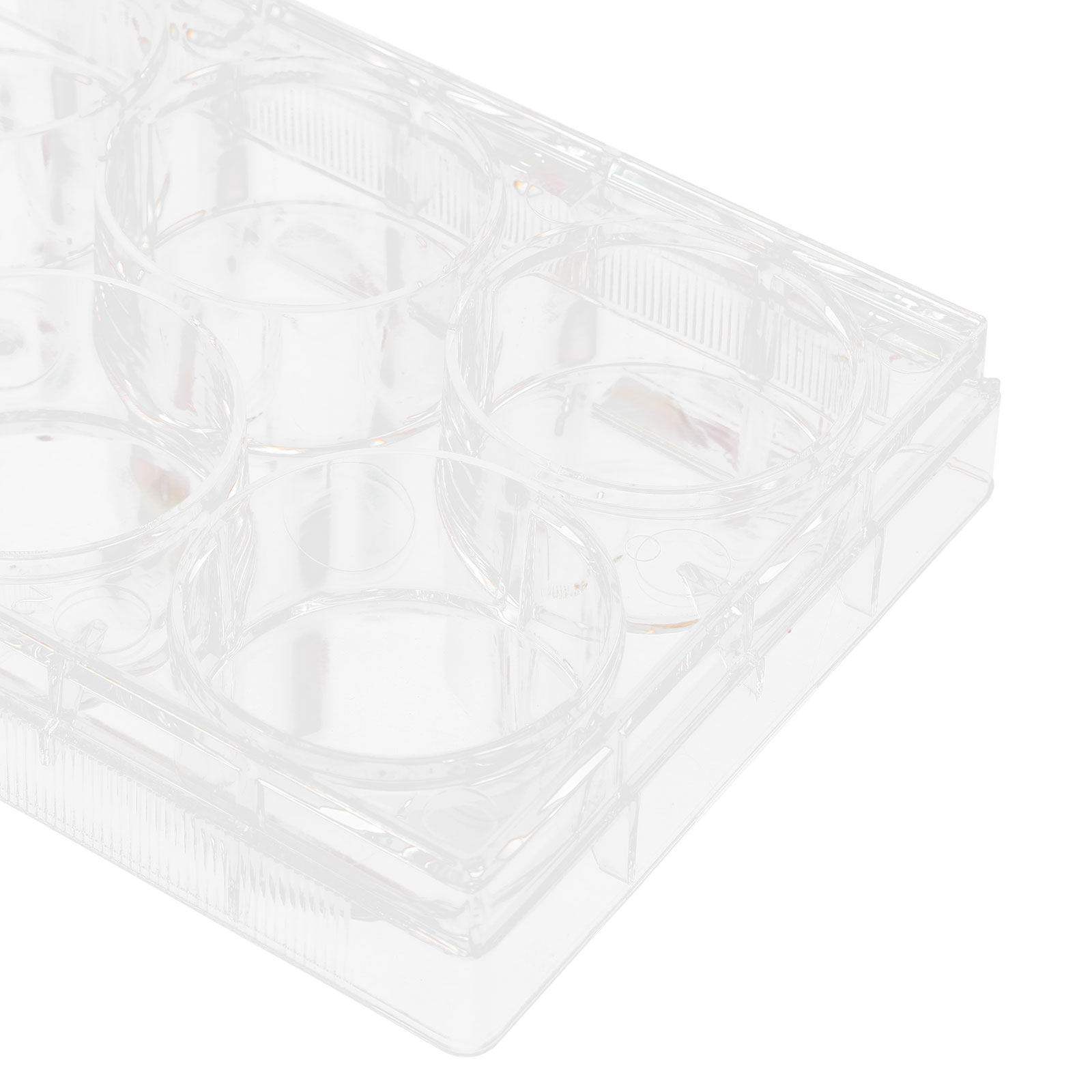 Tissue Culture Plate 6 Wells S - Lab Equipment 评论和价格