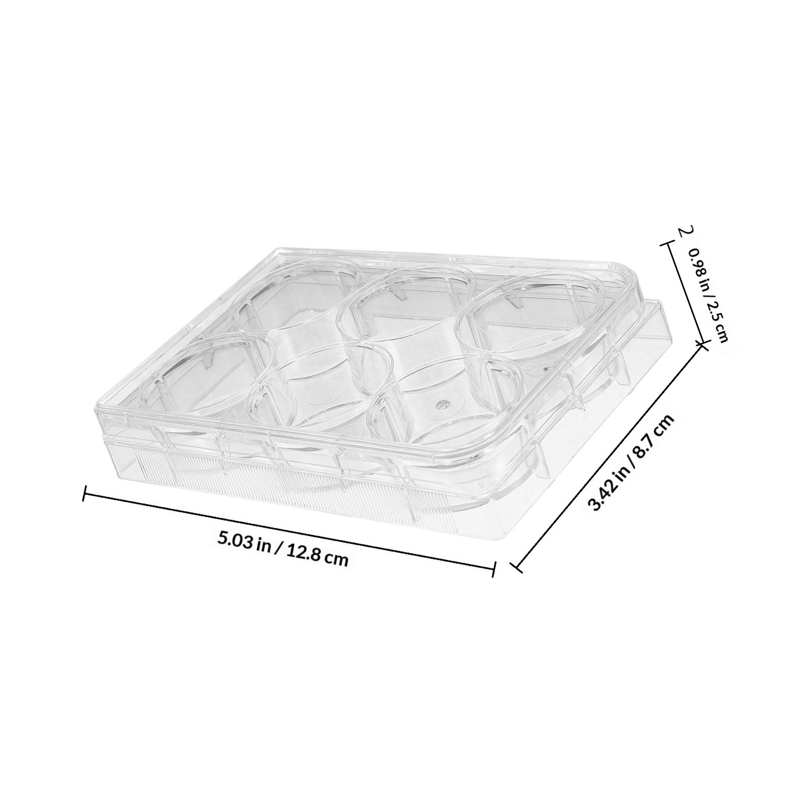 Tissue Culture Plate 6 Wells S - Lab Equipment 评论和价格